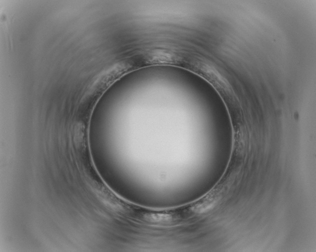 X0000089930361200706291203