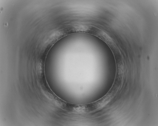 X0000089930362200706291203