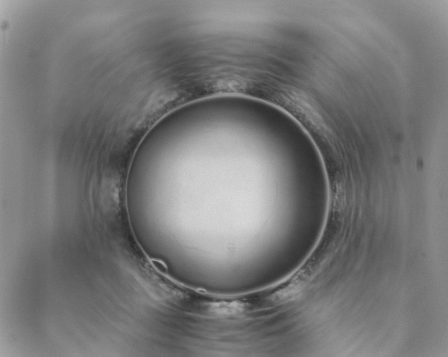 X0000089930363200706291203