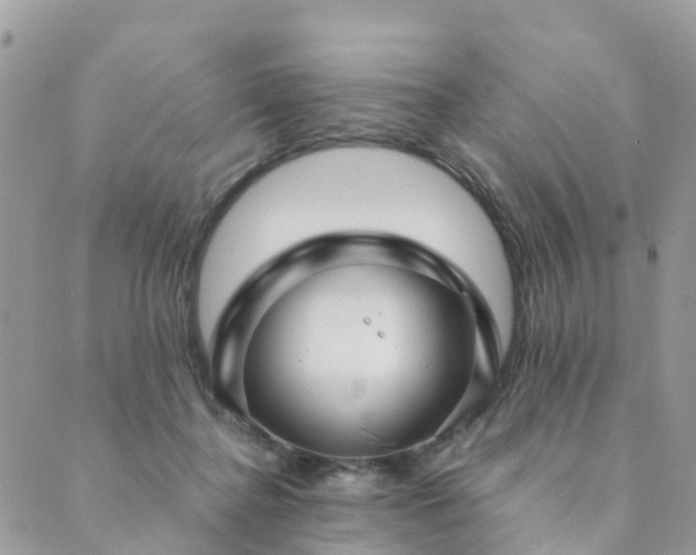 X0000089930364200706291203