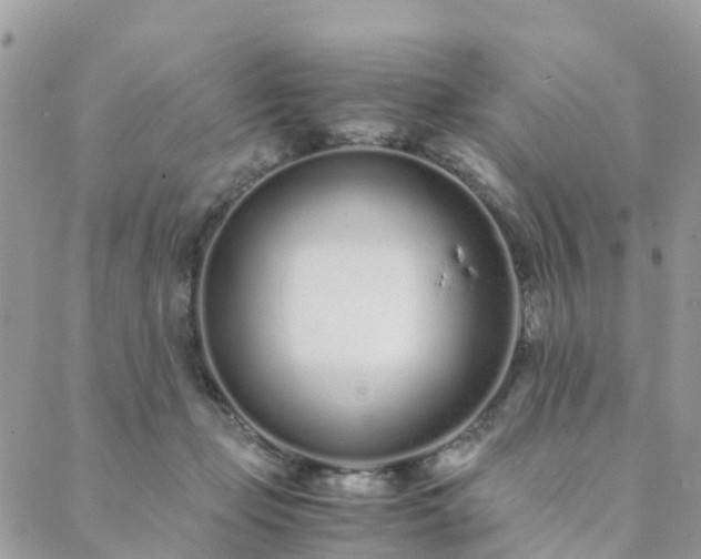 X0000089930365200706291203