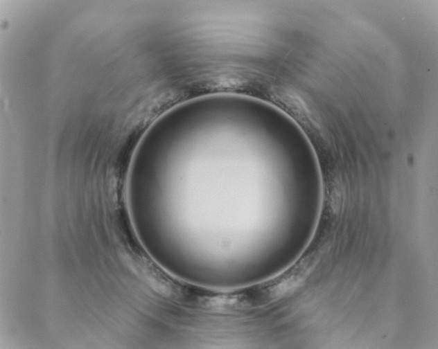 X0000089930366200706291203