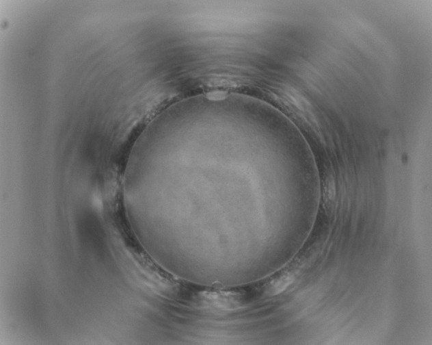 X0000089930367200706291203