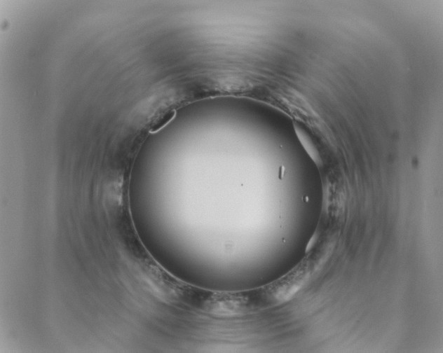 X0000089930368200706291203