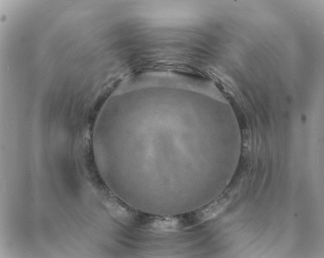 X0000089930369200706291203