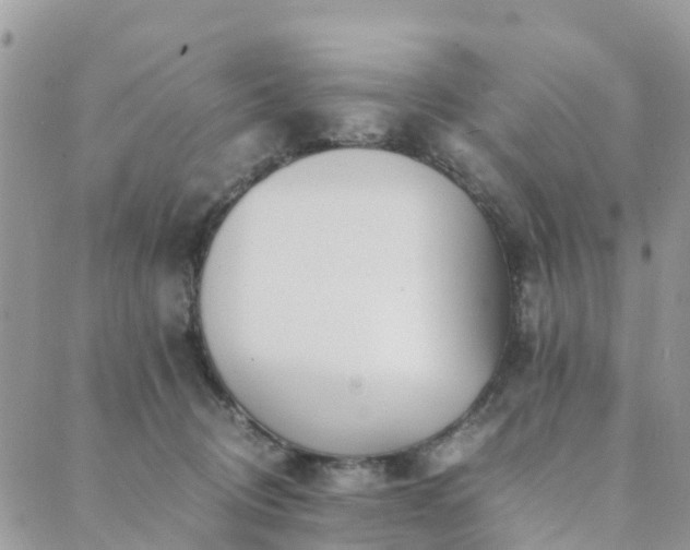 X0000089930370200706291203