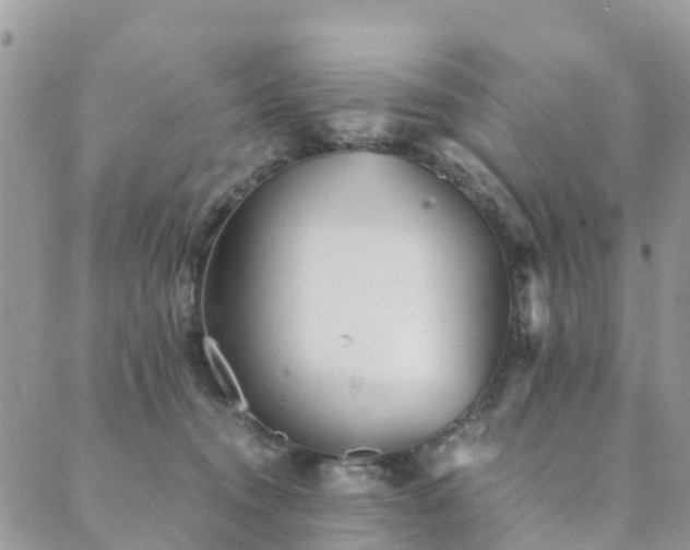 X0000089930372200706291203