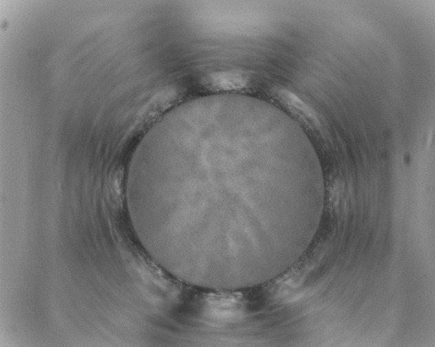 X0000089930373200706291203