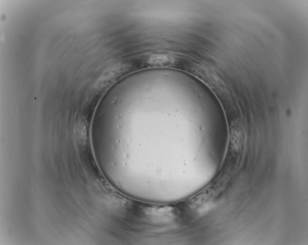 X0000089930375200706291204