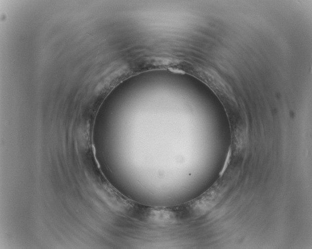 X0000089930376200706291204