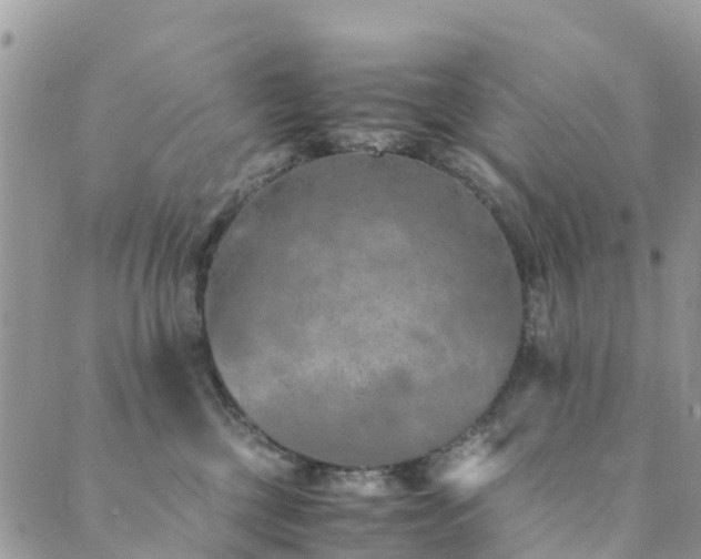 X0000089930377200706291204