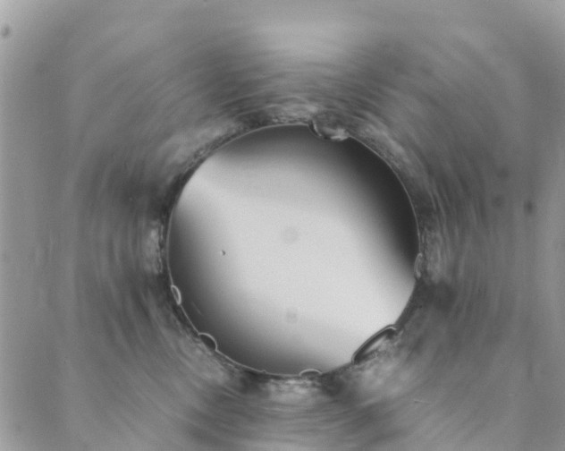 X0000089930378200706291204