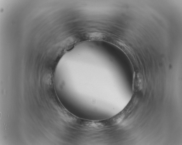 X0000089930379200706291204