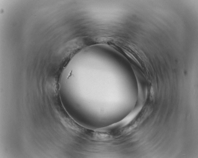 X0000089930380200706291204