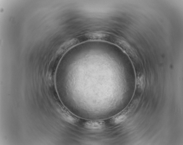 X0000089930381200706291204