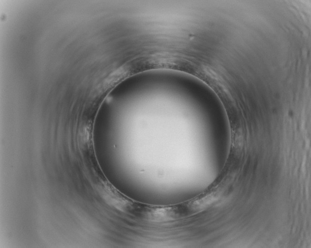 X0000089930382200706291204