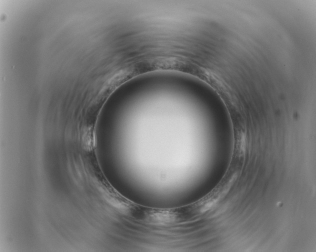 X0000089930383200706291204