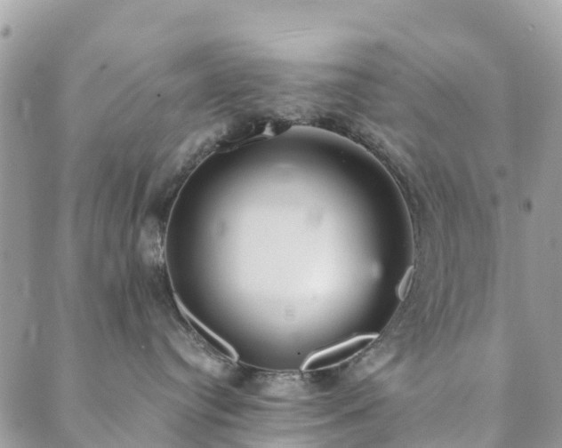 X0000089930384200706291204