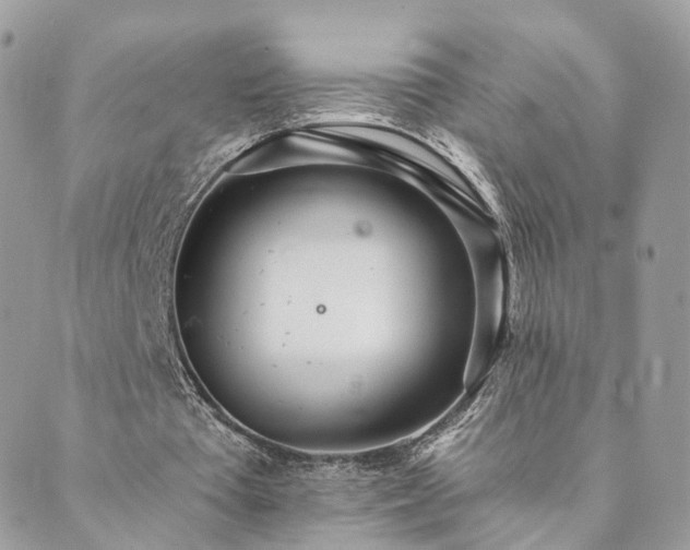 X0000089930385200706291203