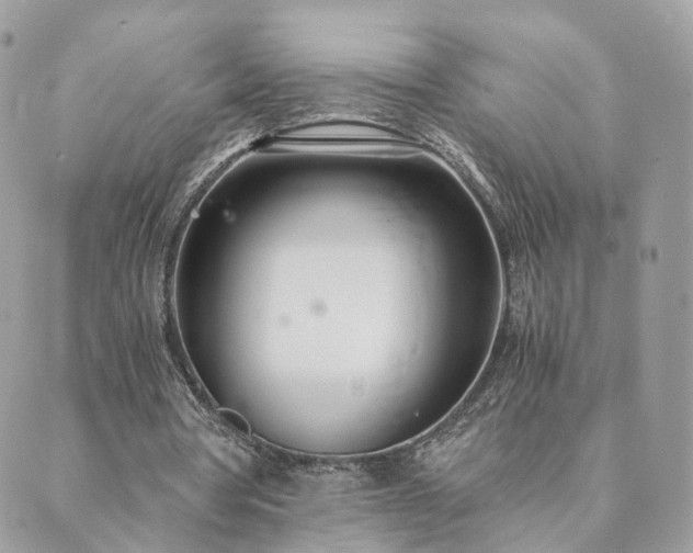 X0000089930386200706291203