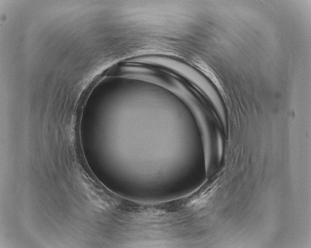 X0000089930387200706291203