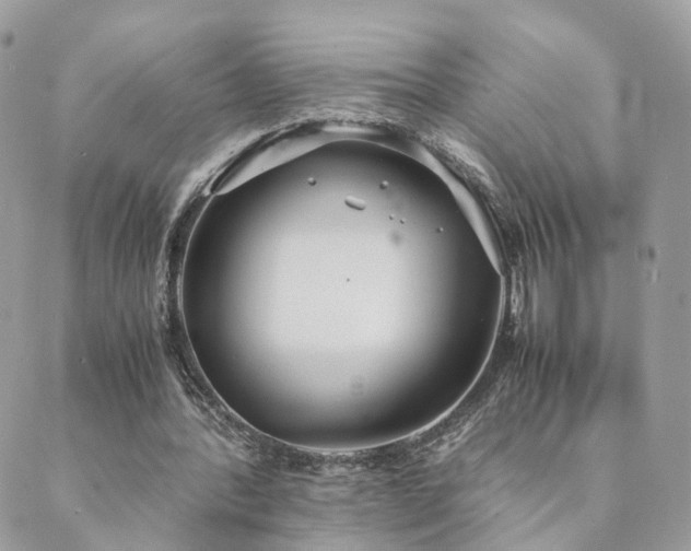 X0000089930388200706291203