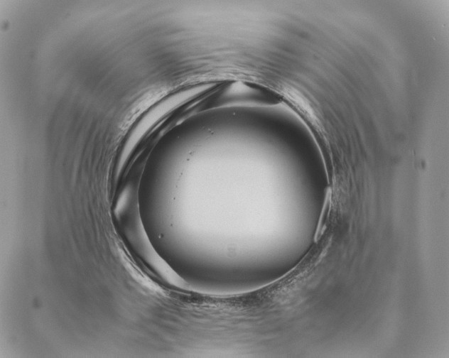 X0000089930389200706291203