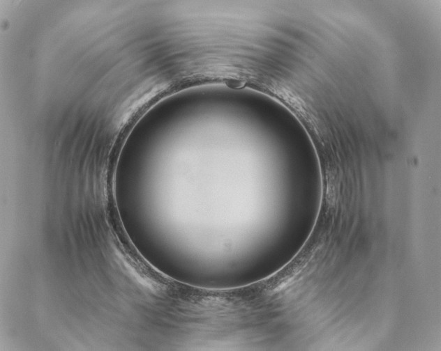 X0000089930390200706291203