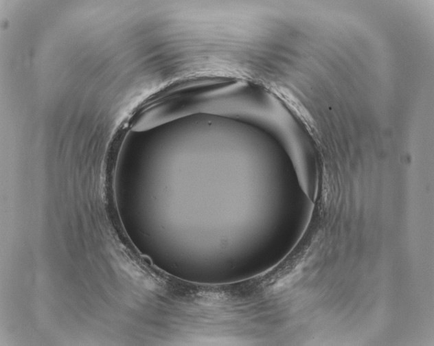 X0000089930391200706291203