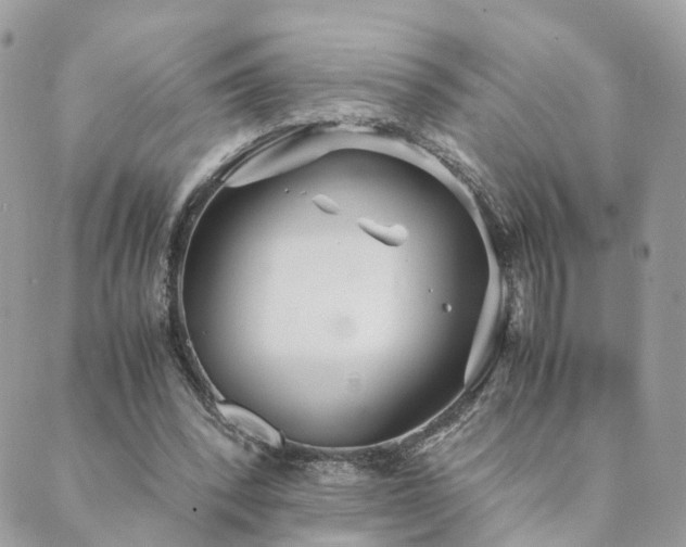 X0000089930392200706291203