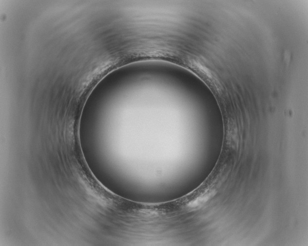 X0000089930394200706291203