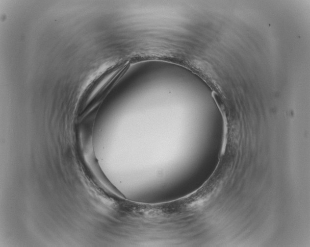 X0000089930395200706291203