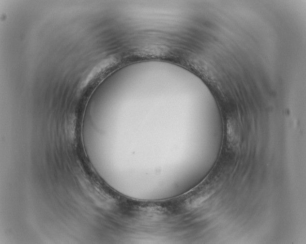 X0000089930396200706291203