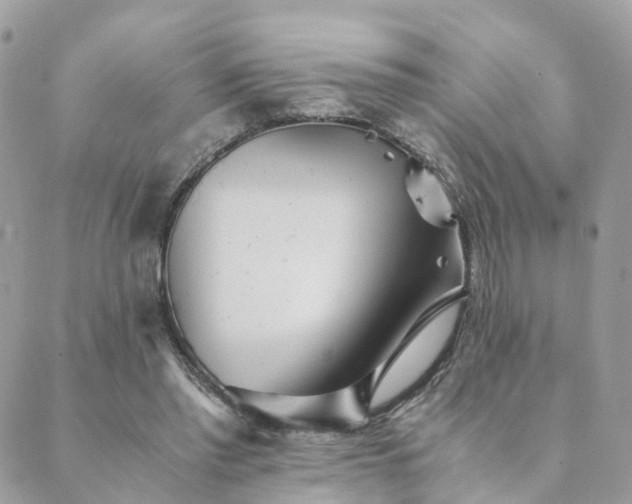 X0000089930397200706291203