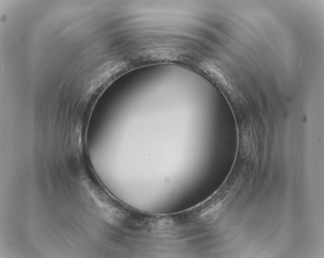 X0000089930398200706291203