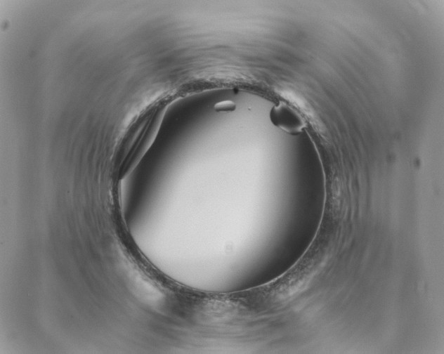 X0000089930399200706291203