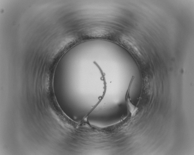 X0000089930400200706291203