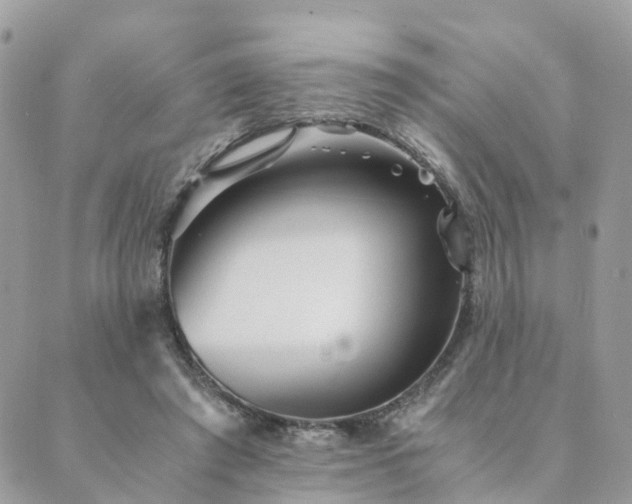 X0000089930401200706291203