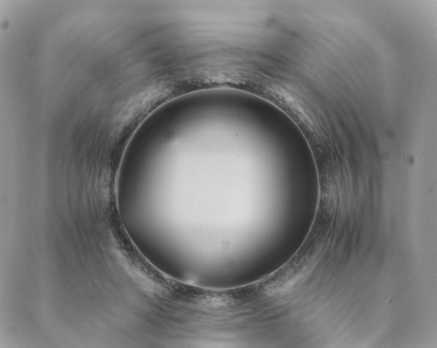 X0000089930402200706291203