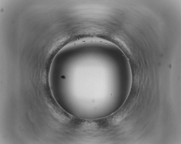 X0000089930403200706291203