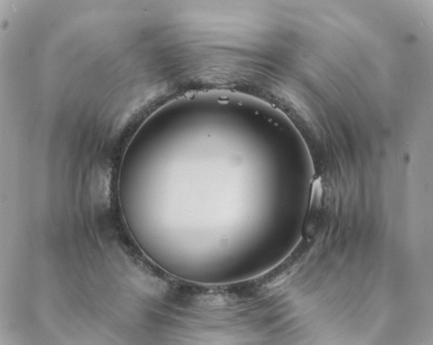 X0000089930404200706291203