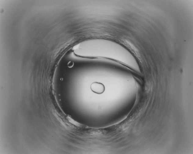 X0000089930405200706291203