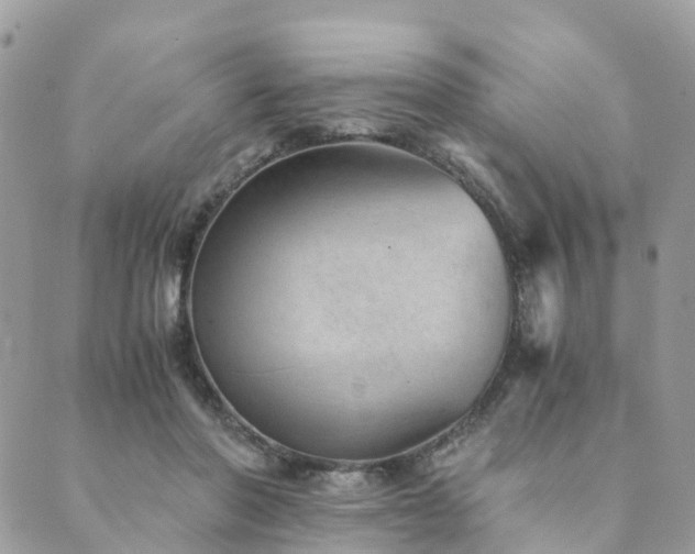 X0000089930406200706291203