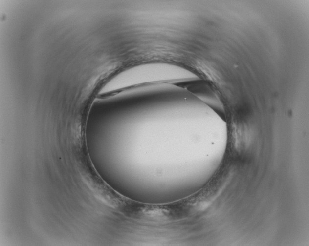 X0000089930407200706291203