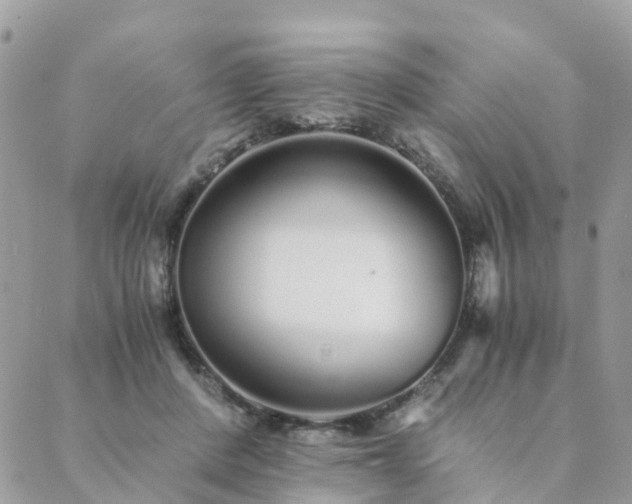 X0000089930408200706291203