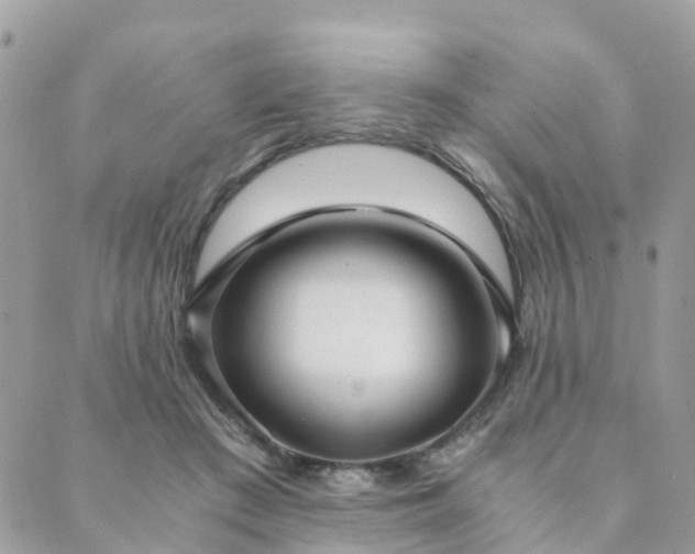 X0000089930409200706291202