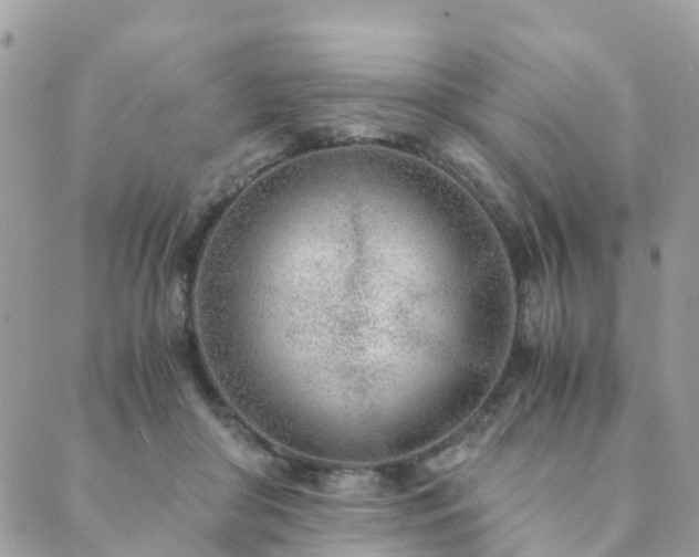 X0000089930410200706291202