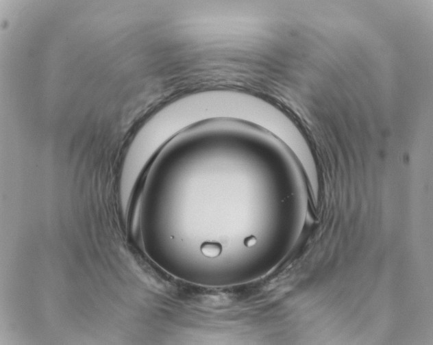 X0000089930411200706291202