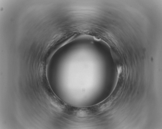 X0000089930412200706291202