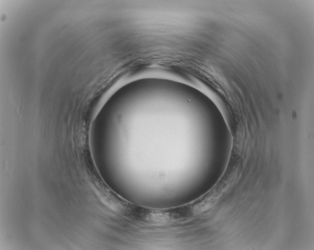 X0000089930413200706291202